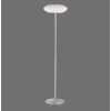 Lampadaire Paul Neuhaus Q-ETIENNE LED Acier brossé, 1 lumière, Télécommandes