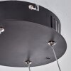 Suspension  Zibreira LED Noir, 1 lumière, Télécommandes