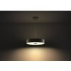 Suspension Philips Hue Fair LED Noir, 1 lumière, Télécommandes