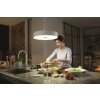 Suspension Philips Hue Fair LED Blanc, 1 lumière, Télécommandes