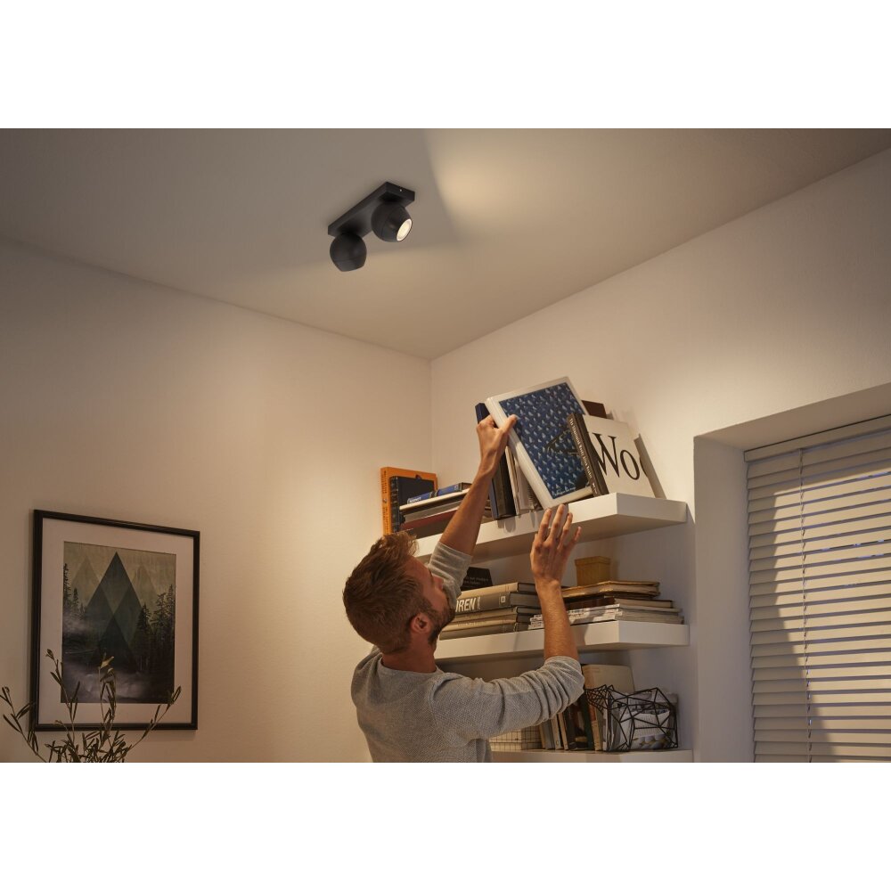 Plafonnier Philips Hue Buckram LED Noir, 2 lumières, Télécommandes main product photo