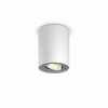 Plafonnier Philips Hue Pillar LED Blanc, 1 lumière