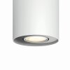 Plafonnier Philips Hue Pillar LED Blanc, 1 lumière