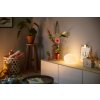 Lampe de table Philips Hue Flourish LED Blanc, 1 lumière, Changeur de couleurs