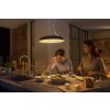 Suspension Philips Hue Amaze LED Noir, 1 lumière, Télécommandes