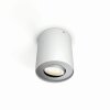 Plafonnier Philips Hue Pillar LED Blanc, 1 lumière, Télécommandes