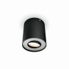 Plafonnier Philips Hue Pillar LED Noir, 1 lumière, Télécommandes