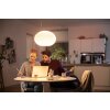 Suspension Philips Hue Flourish LED Blanc, 1 lumière, Changeur de couleurs