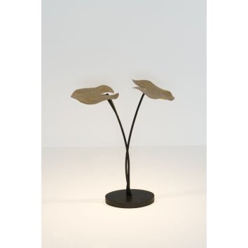 Lampe de table Holländer CONTROVERSA LED Brun, Or, Noir, 2 lumières