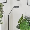 Lampadaire  Huallilemu LED Anthracite, 1 lumière