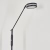 Lampadaire  Huallilemu LED Anthracite, 1 lumière