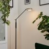 Lampadaire  Huallilemu LED Anthracite, 1 lumière