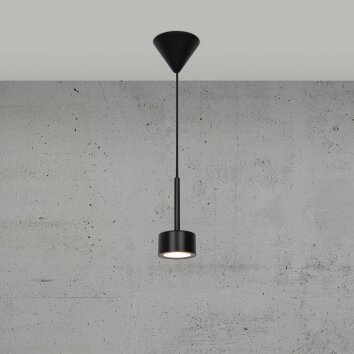 Suspension Nordlux CLYDE LED Noir, 1 lumière