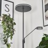 Lampadaire à vasque  Huallilemu LED Anthracite, 2 lumières