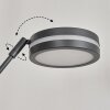 Lampadaire à vasque  Huallilemu LED Anthracite, 2 lumières