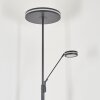 Lampadaire à vasque  Huallilemu LED Anthracite, 2 lumières