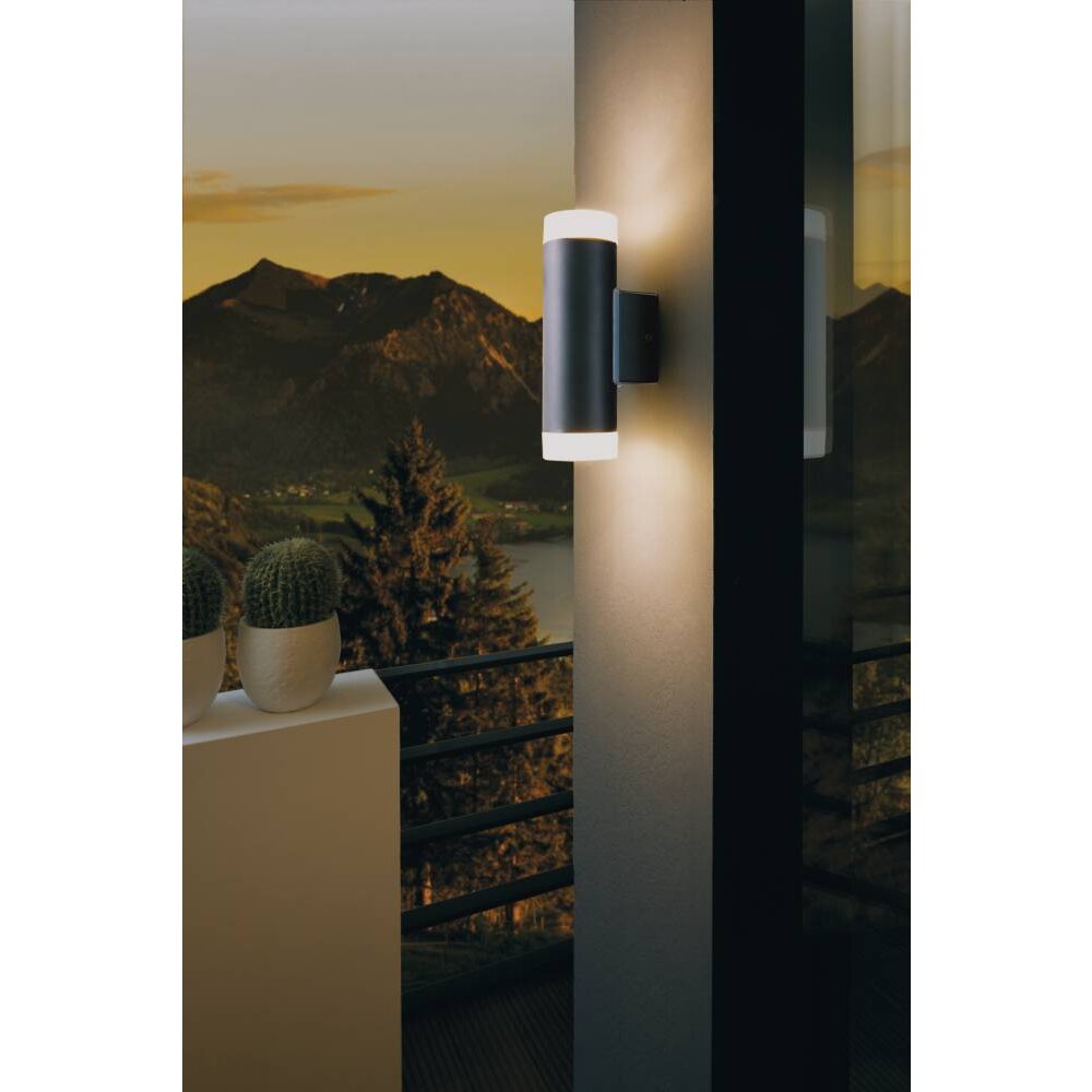 Applique murale d'extérieur Eglo RIGA-LED Noir, 2 lumières main product photo