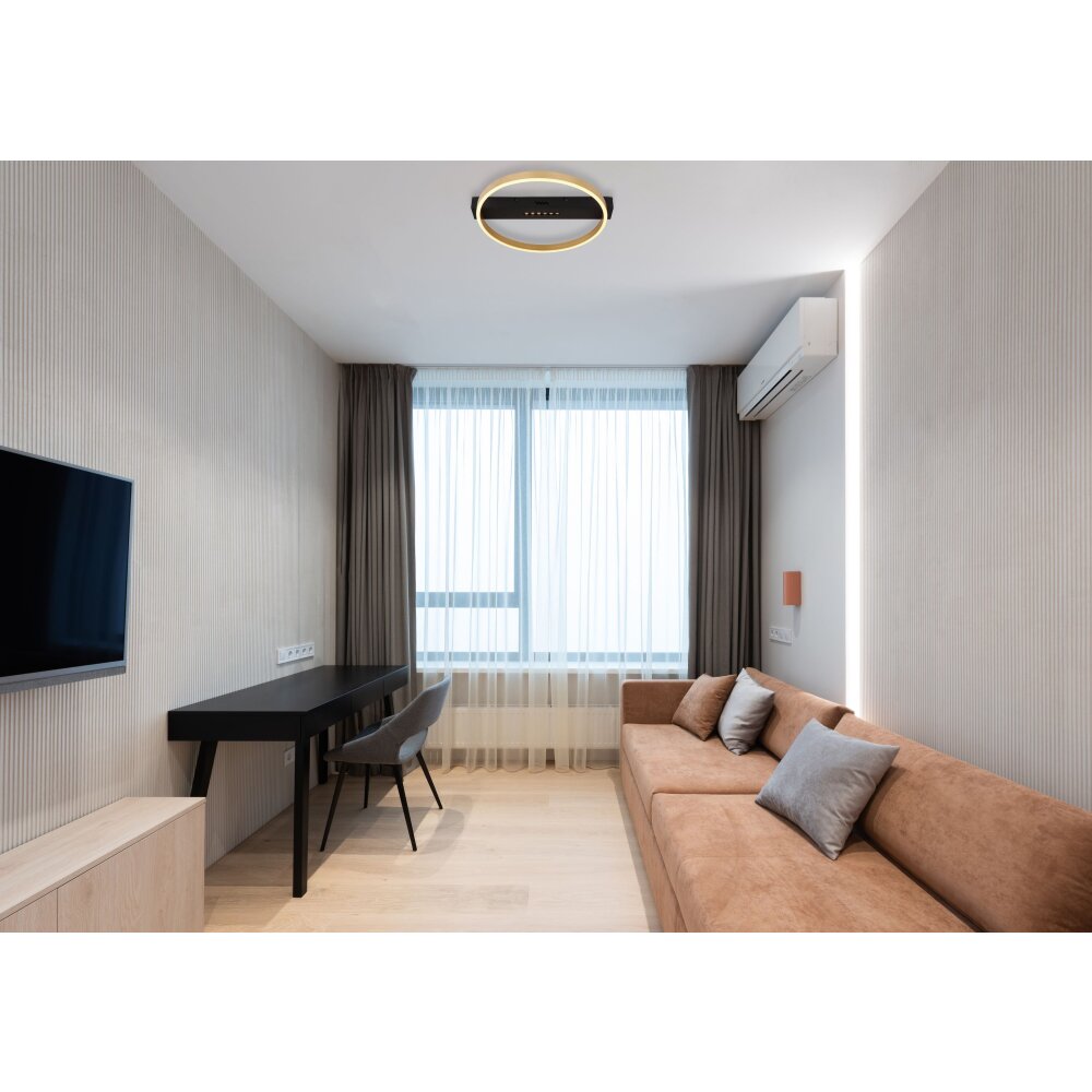 Plafonnier Globo LUFFY LED Or, Noir, 1 lumière main product photo