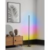 Lampadaire Eglo PICACHA LED Noir, 1 lumière, Télécommandes, Changeur de couleurs