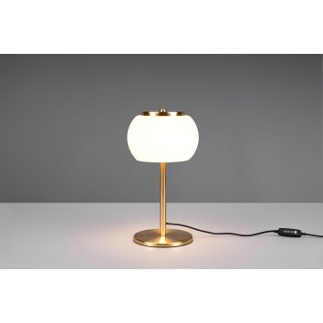 Lampe de table Trio Madison LED Laiton, 1 lumière