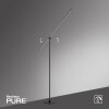 Lampadaire Paul Neuhaus PURE-GRAFO LED Noir, 1 lumière