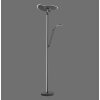 Lampadaire à vasque Paul Neuhaus PURE-MUTIL LED Anthracite, 2 lumières