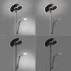 Lampadaire à vasque Paul Neuhaus PURE-MUTIL LED Anthracite, 2 lumières