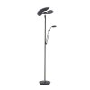 Lampadaire à vasque Paul Neuhaus PURE-MUTIL LED Anthracite, 2 lumières