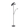 Lampadaire à vasque Paul Neuhaus PURE-MUTIL LED Anthracite, 2 lumières