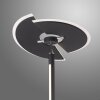 Lampadaire à vasque Paul Neuhaus PURE-MUTIL LED Anthracite, 2 lumières