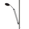 Lampadaire à vasque Paul Neuhaus PURE-MUTIL LED Anthracite, 2 lumières