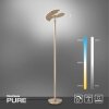 Lampadaire à vasque Paul Neuhaus PURE-MUTIL LED Laiton, 2 lumières