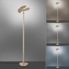 Lampadaire à vasque Paul Neuhaus PURE-MUTIL LED Laiton, 2 lumières