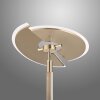 Lampadaire à vasque Paul Neuhaus PURE-MUTIL LED Laiton, 2 lumières