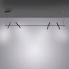 Suspension Paul Neuhaus PURE-TUTUA LED Noir, 4 lumières