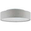 Plafonnier Brilliant Baska LED Blanc, 1 lumière
