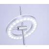 Lampe à poser Paul Neuhaus Q-AMY LED Acier inoxydable, 2 lumières, Télécommandes
