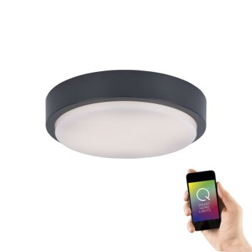 Plafonnier Paul Neuhaus Q-LENNY LED Anthracite, 1 lumière, Télécommandes, Changeur de couleurs