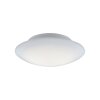 Plafonnier Paul Neuhaus Q-ARKTIS LED Blanc, 1 lumière, Télécommandes, Changeur de couleurs