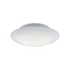 Plafonnier Paul Neuhaus Q-ARKTIS LED Blanc, 1 lumière, Télécommandes, Changeur de couleurs