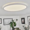 Plafonnier  Folgares LED Blanc, 1 lumière