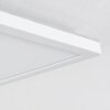 Plafonnier  Hortinhas LED Blanc, 1 lumière, Télécommandes, Changeur de couleurs