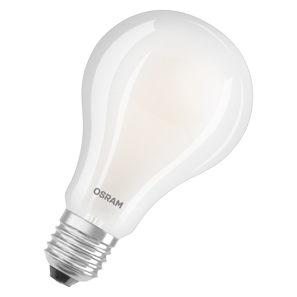 LUNNOM ampoule à DEL E26 250 lumens, intensité lumineuse réglable
