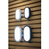 Applique murale d'extérieur LEDVANCE BULKHEAD Noir, 1 lumière