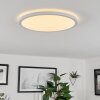 Plafonnier Sasinhosa LED Blanc, 1 lumière, Télécommandes