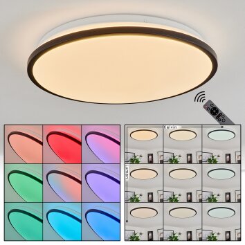 Plafonnier Kroch LED Blanc, 1 lumière, Télécommandes, Changeur de couleurs