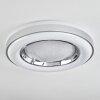 Plafonnier Cancinos LED Argenté, Blanc, 2 lumières, Télécommandes, Changeur de couleurs