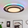 Plafonnier Cavadinha LED Blanc, 1 lumière, Télécommandes, Changeur de couleurs