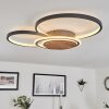 Plafonnier Kassambene LED Anthracite, Écru, 1 lumière