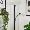 Lampadaire à vasque Phong LED Noir, 2 lumières